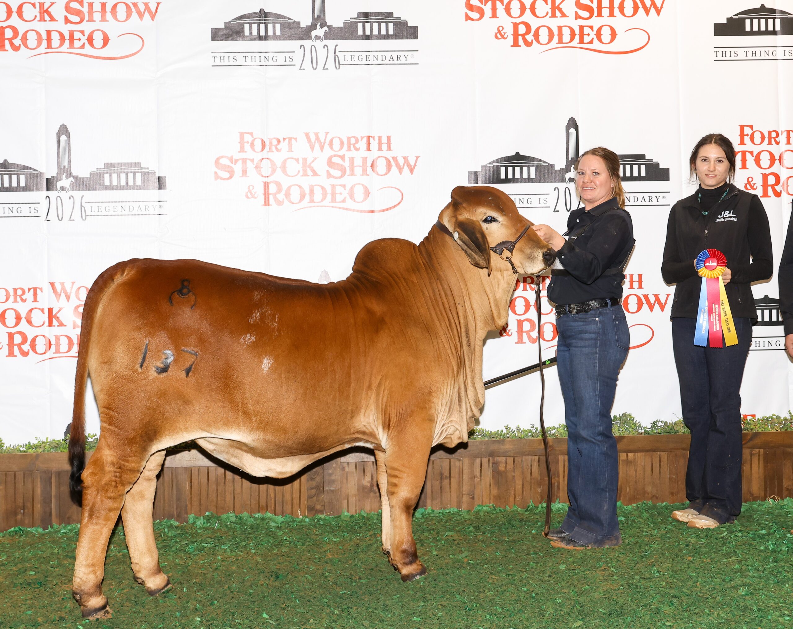 BB TCM NO DUMB BLONDE 137