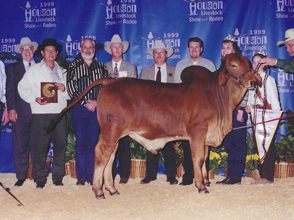 + MR 3H X-RAY 825    (YOUNG AGE)