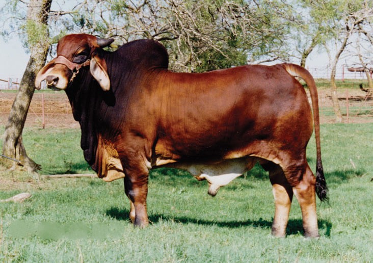 MR-3X-HES-GOT-THE-LOOK-40-2