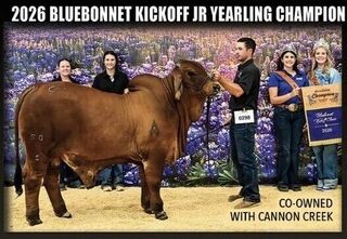 2026 BLUEBONNET KICKOFF BRAHMAN SHOW JUNIOR YEARLING CHAMPION